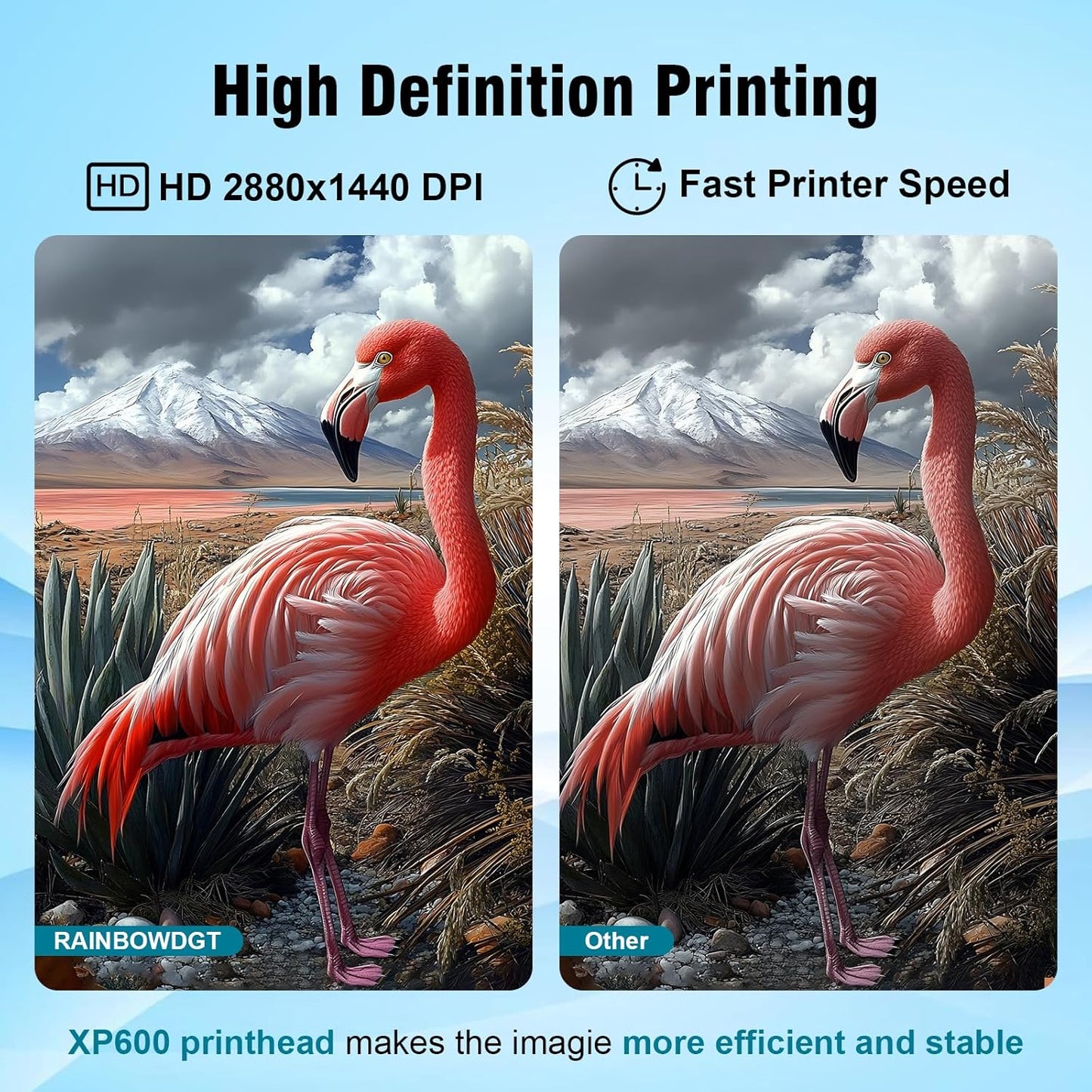 Peacock 33 A3 DTF Printer XP600 Kits With DTF supplies Oven Heat Press