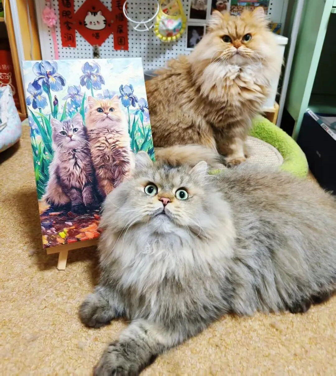 Personalized Cat Portrait Oil Painting Pet Funny Cat Christmas Gifts